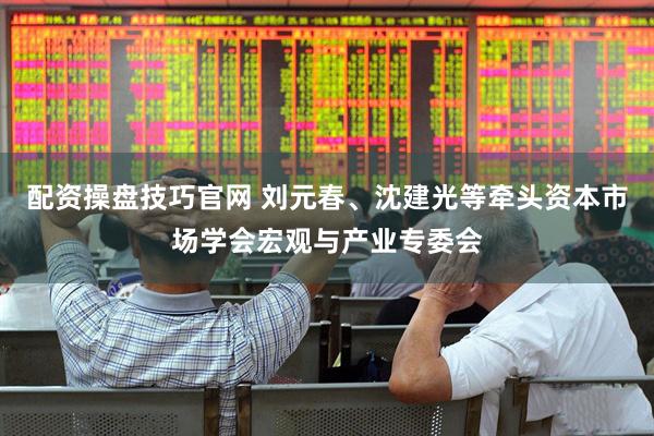 配资操盘技巧官网 刘元春、沈建光等牵头资本市场学会宏观与产业专委会