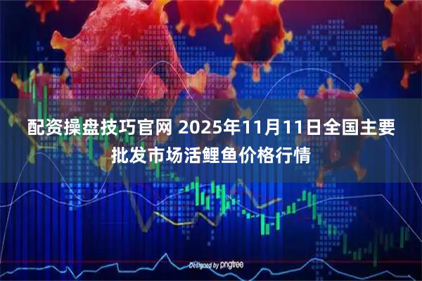 配资操盘技巧官网 2025年11月11日全国主要批发市场活鲤鱼价格行情