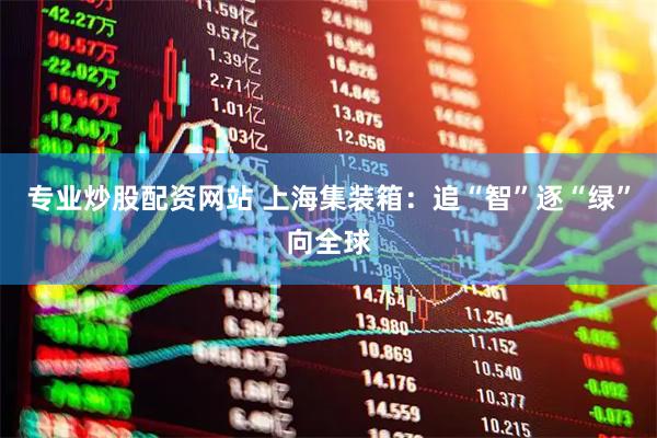 专业炒股配资网站 上海集装箱：追“智”逐“绿”向全球