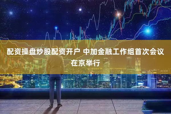 配资操盘炒股配资开户 中加金融工作组首次会议在京举行