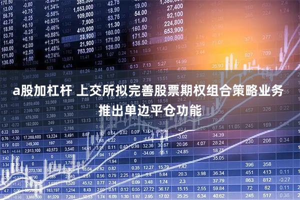 a股加杠杆 上交所拟完善股票期权组合策略业务 推出单边平仓功能